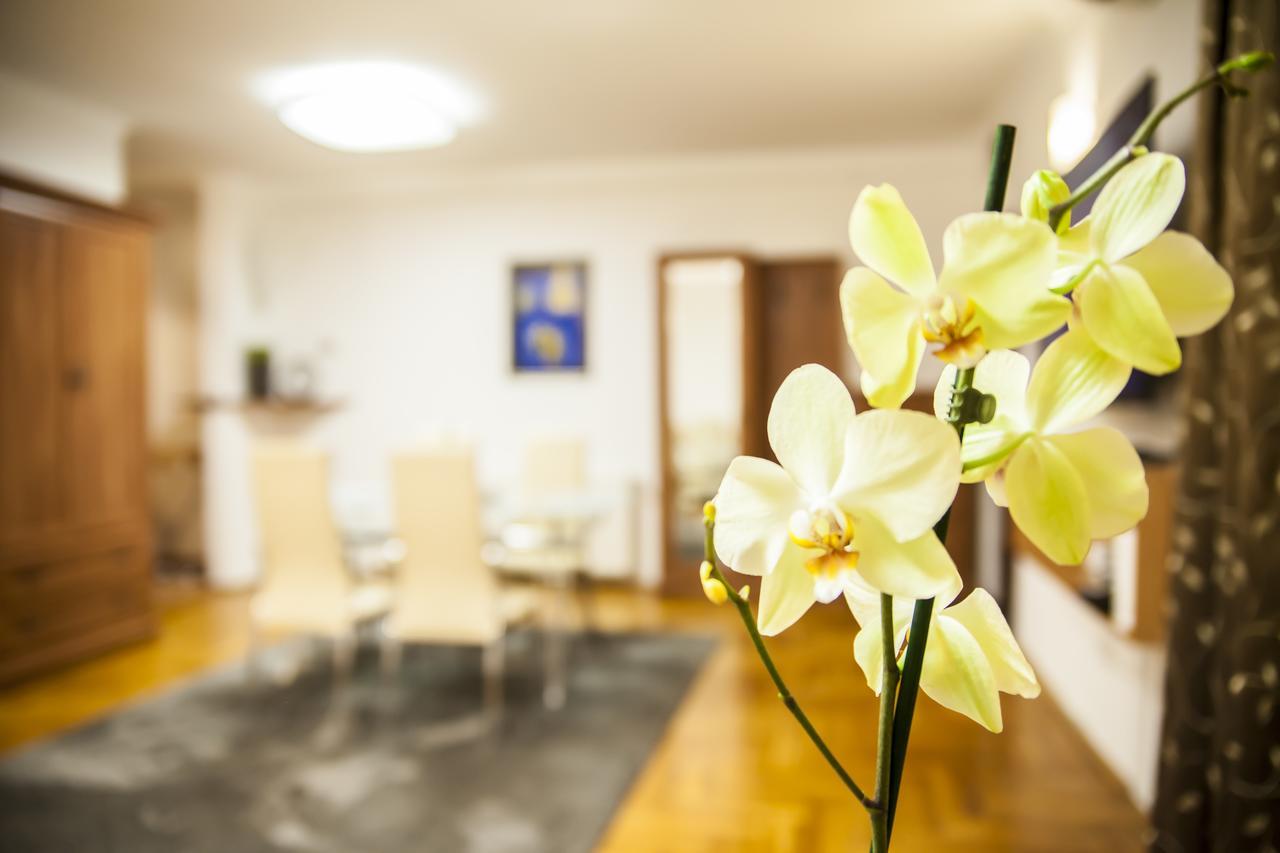 Business Class Apartment Cluj-Napoca Exterior foto